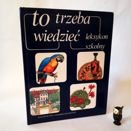 Praca zbiorowa "Leksykon szkolny -to trzeba wiedzieć" Warszawa 1994