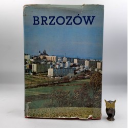 Adamski J. - Brzozów - zarys monograficzny - Brzozów 1990