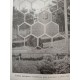 Brożek L. - Jan Dzierżon - studium monograficzne, Opole 1978